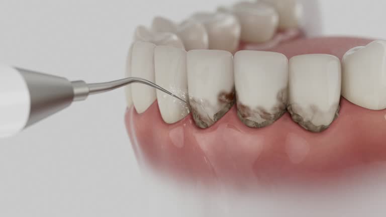 Reliable Dental contractor in Monmouth, IL by Dentist Open Now